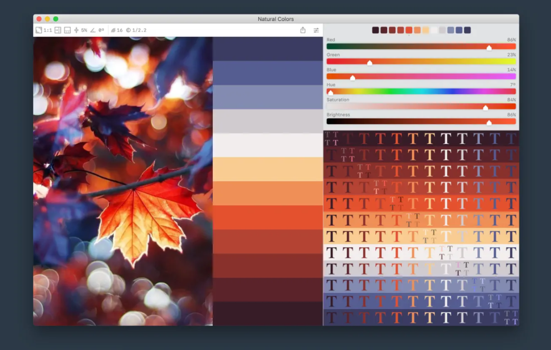 Color Palette from Image Pro for Mac 2.2.1 图片中识别和预览颜色值工具